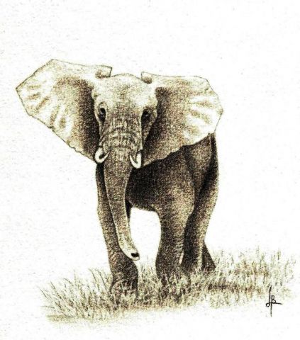 L'Adoléphant
